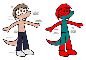 Diagrams showing where the lizard-human hybrid Tyler (shirtless) does and doesn't have hair; he has hair on the back of his tail but not on his chest